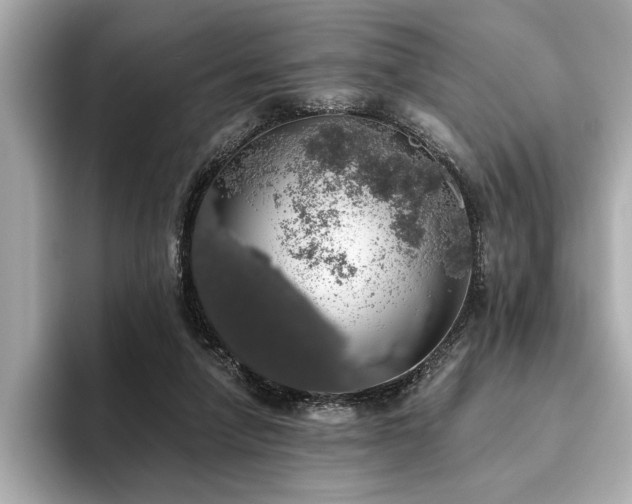 X0000093620258200710151306