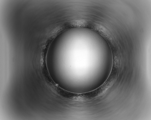 X0000093620259200710151306
