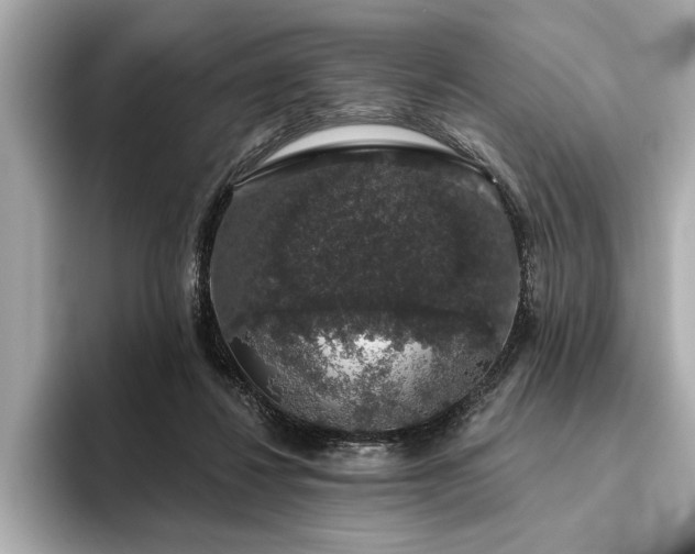 X0000093620260200710151306