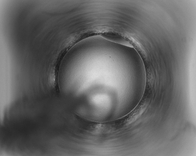 X0000093620261200710151306