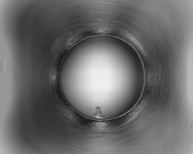 X0000093620265200710151306