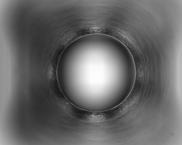 X0000093620270200710151306