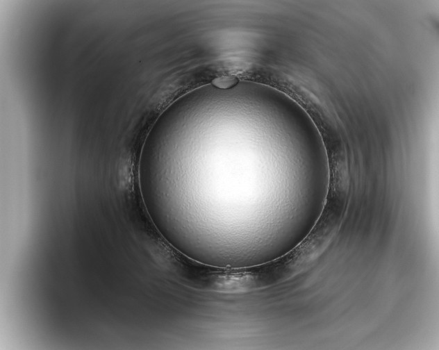 X0000093620274200710151307