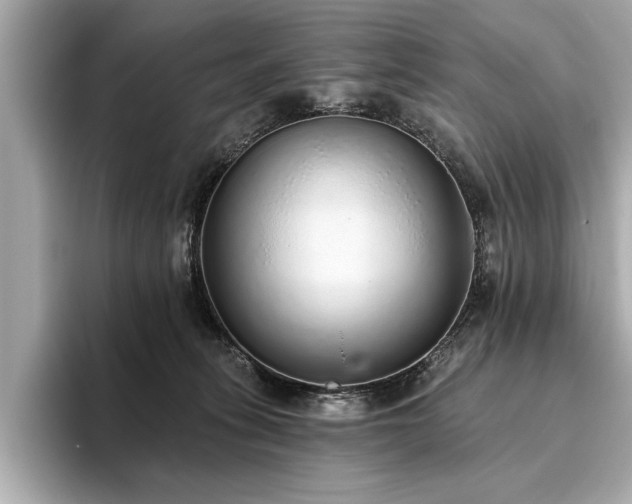 X0000093620275200710151307