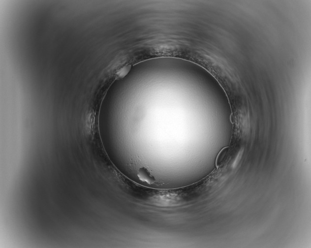 X0000093620278200710151307