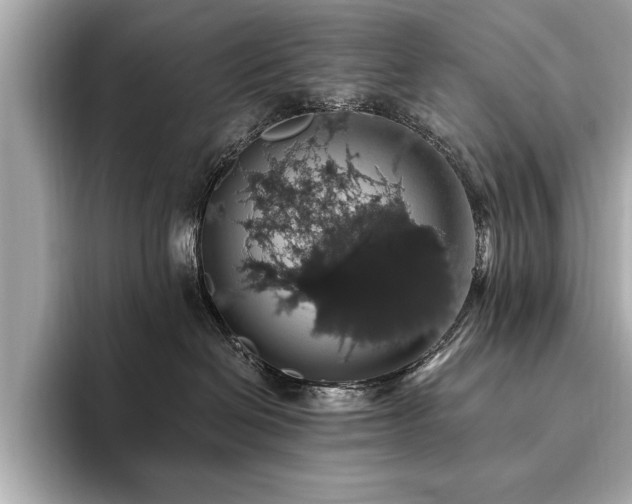 X0000093620286200710151307