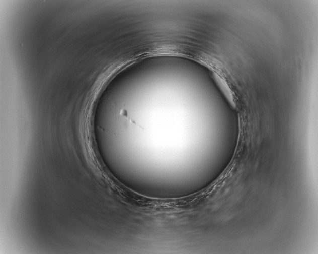 X0000093620289200710151306
