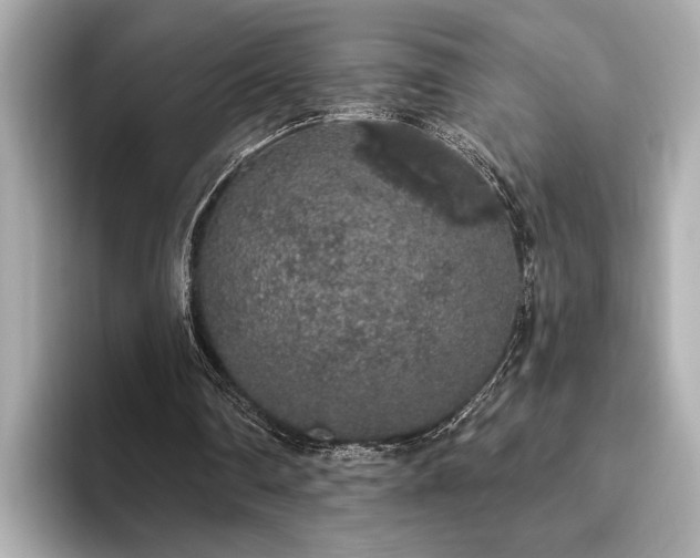 X0000093620290200710151306
