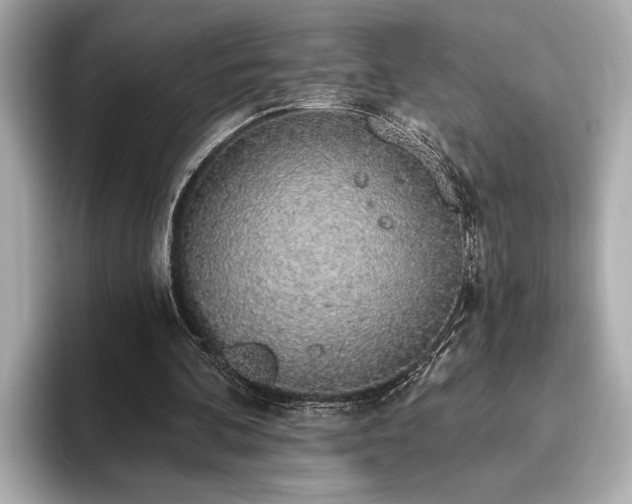 X0000093620292200710151306