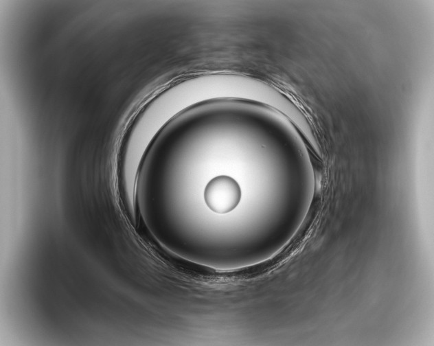 X0000093620293200710151306