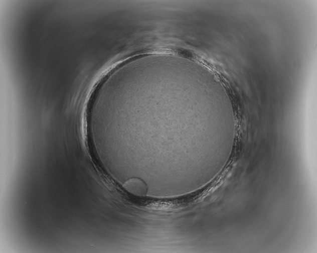 X0000093620294200710151306