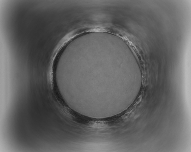 X0000093620296200710151306