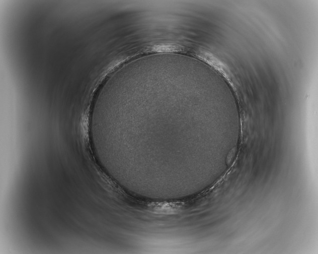 X0000093620297200710151306