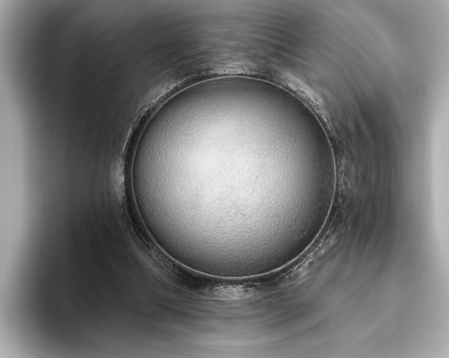 X0000093620298200710151306