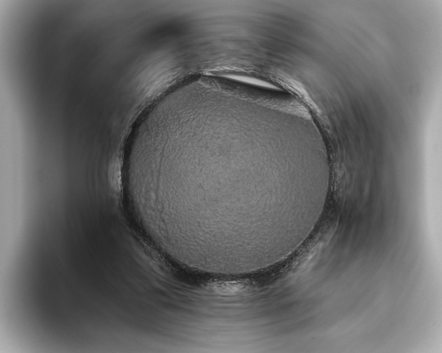 X0000093620299200710151306
