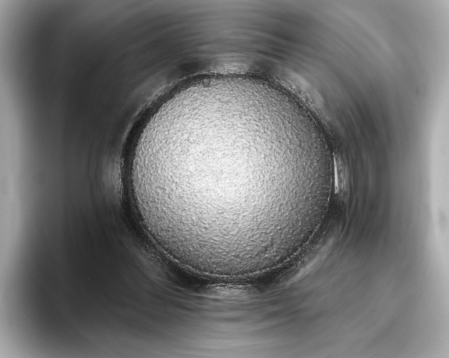 X0000093620300200710151306