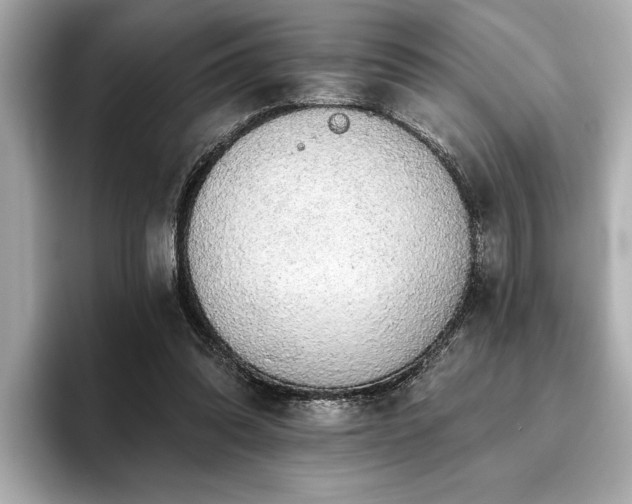 X0000093620302200710151306