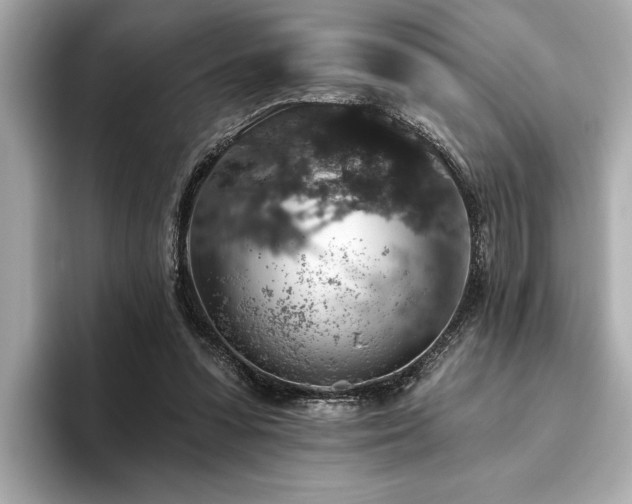 X0000093620303200710151306