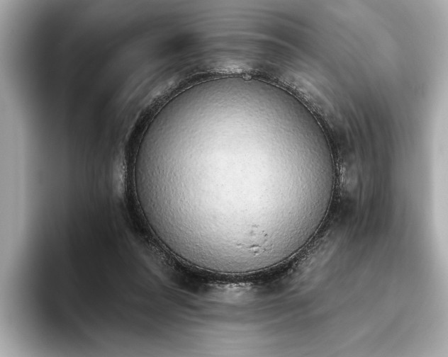 X0000093620304200710151306