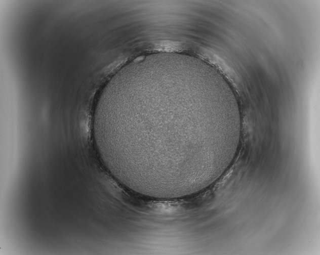 X0000093620305200710151306