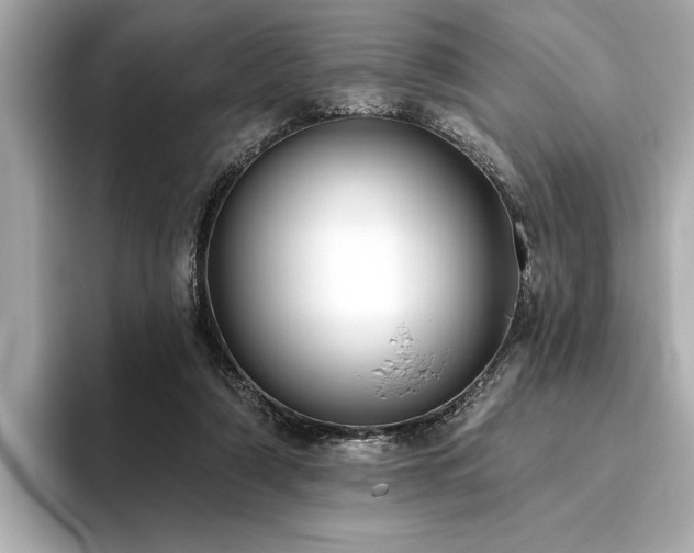 X0000093620306200710151306