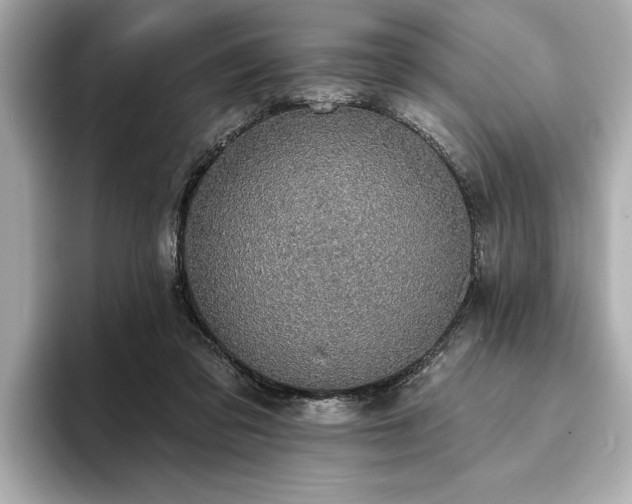 X0000093620309200710151306