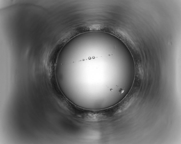 X0000093620311200710151306