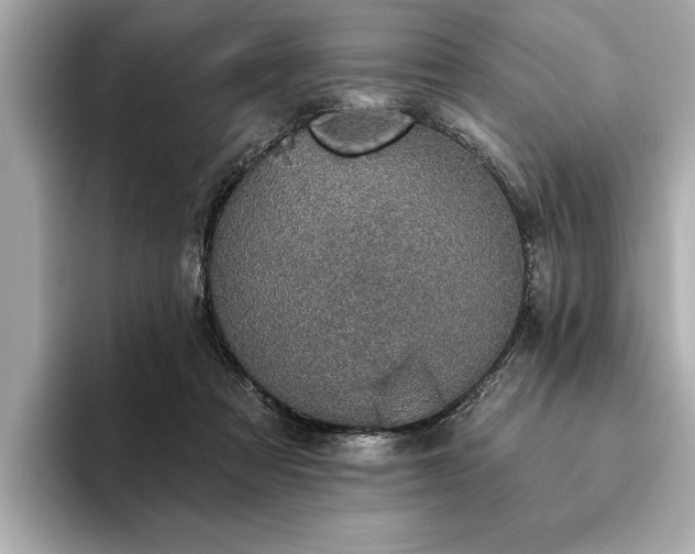 X0000093620313200710151306