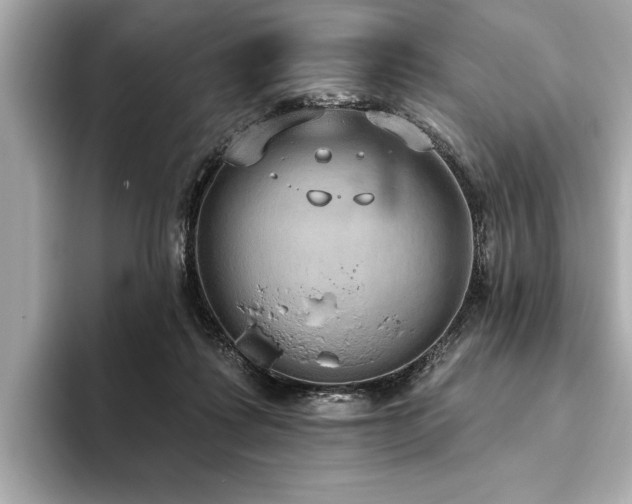 X0000093620315200710151306