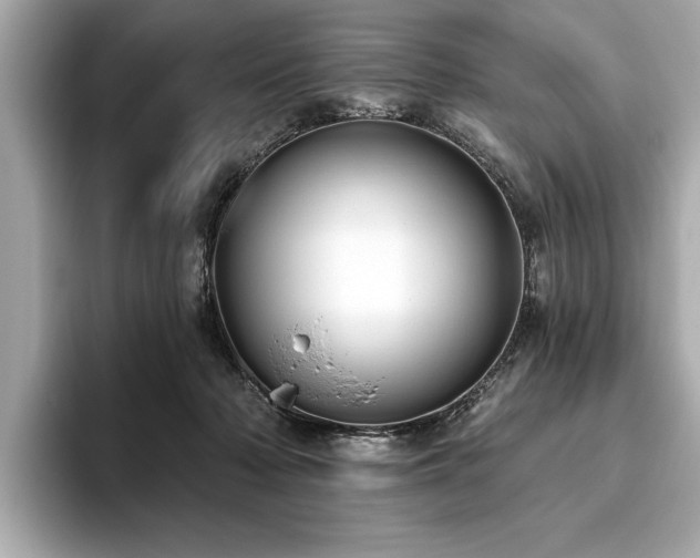 X0000093620318200710151306