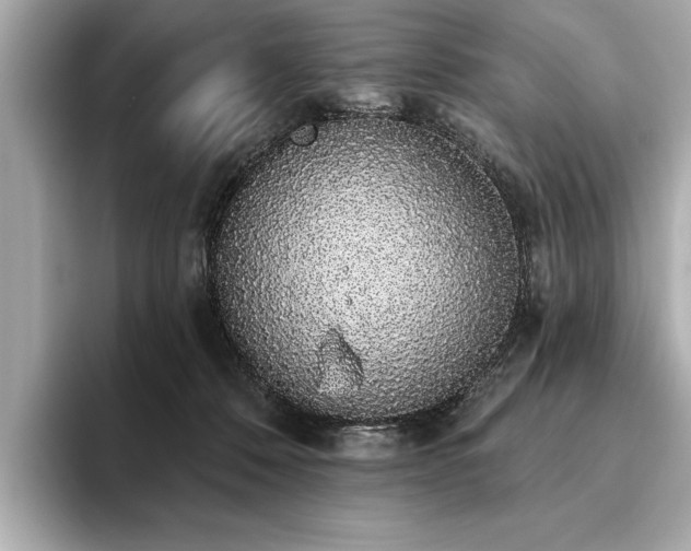 X0000093620320200710151306