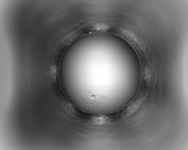 X0000093620321200710151306