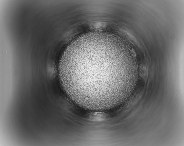 X0000093620324200710151306