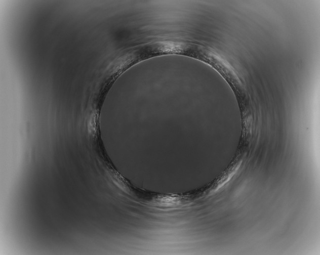 X0000093620325200710151306