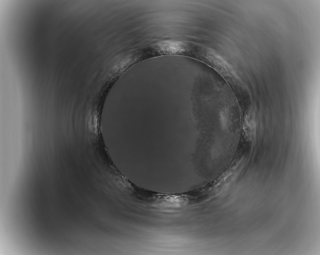 X0000093620330200710151306