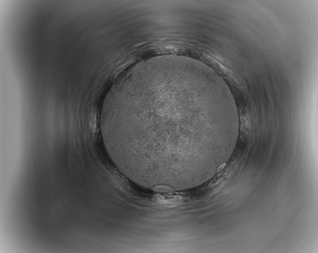 X0000093620331200710151306