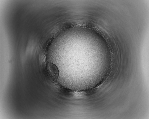 X0000093620336200710151305