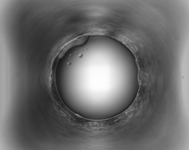 X0000093620338200710151305