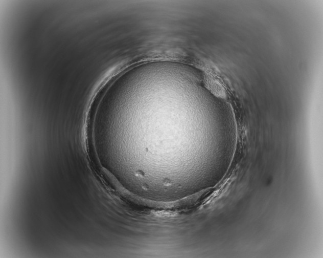 X0000093620340200710151305