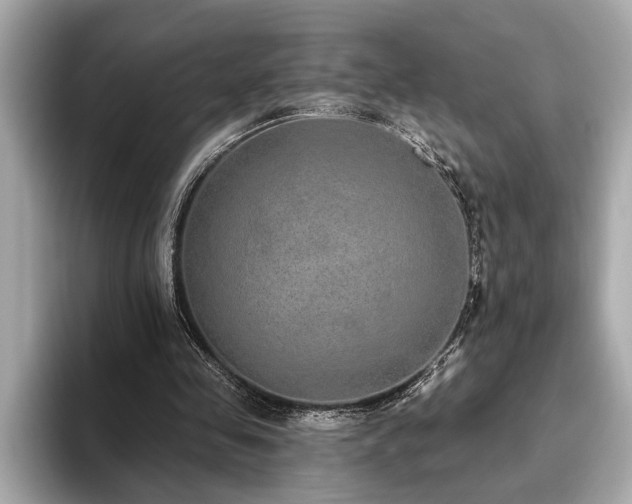 X0000093620341200710151305