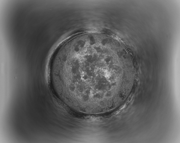 X0000093620343200710151305