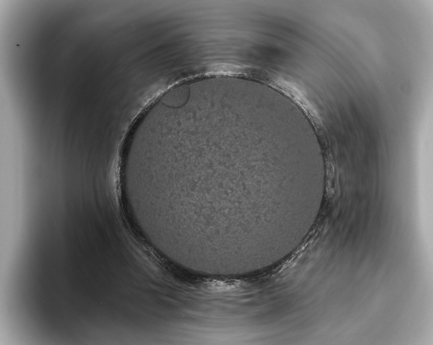 X0000093620346200710151305