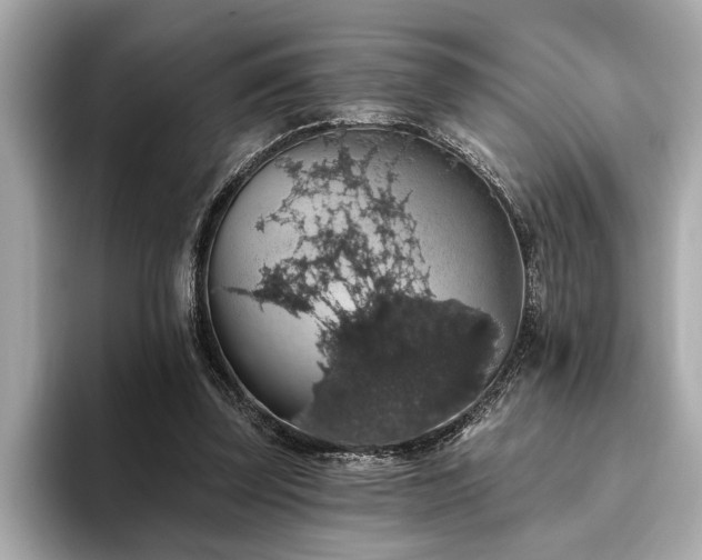 X0000093620347200710151305