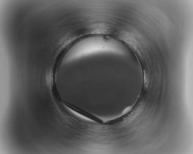 X0000093620348200710151305