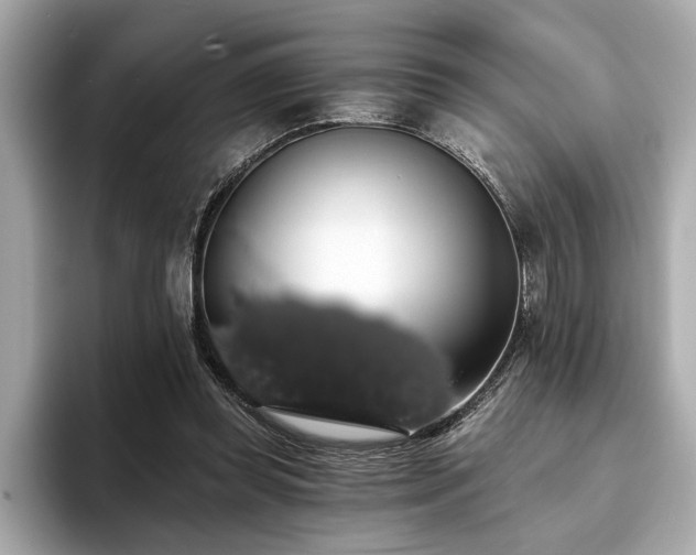 X0000093620349200710151305