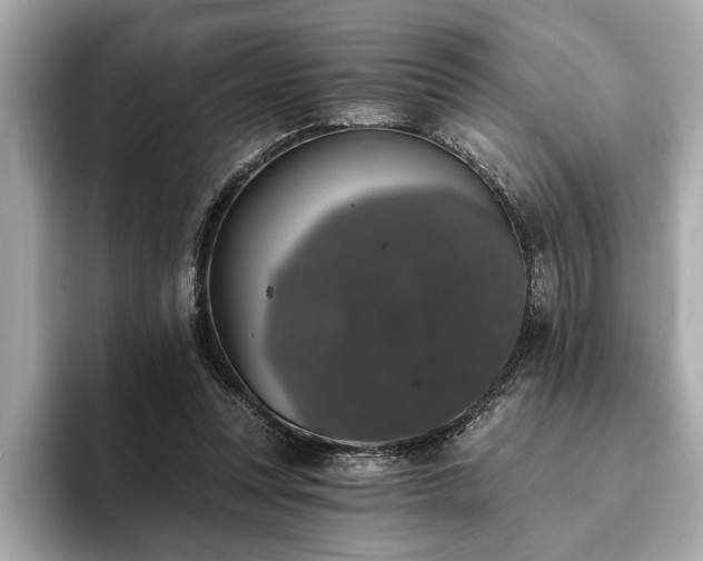 X0000093620351200710151305
