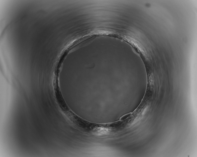 X0000093620352200710151305