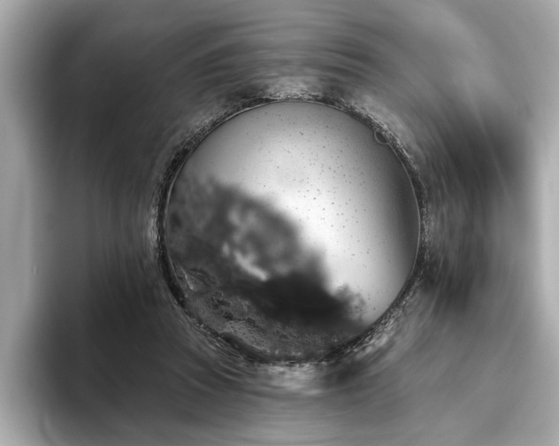 X0000093620353200710151305