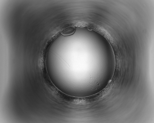 X0000093620354200710151305