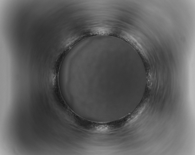 X0000093620355200710151305